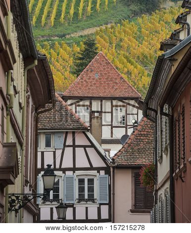 Ribeauville, Bas-rhin, Alsace, Exterior Old Half-timbered Houses, Vineyard
