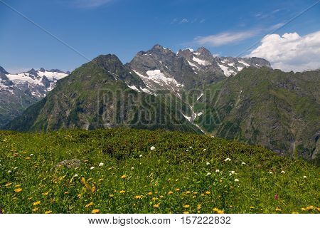Alpine meadow with flowers in Klych highland pass near border of Georgia - Abkhazia