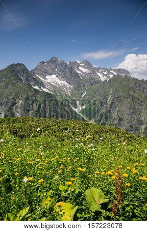 Alpine meadow with flowers in Klych highland pass near border of Georgia - Abkhazia
