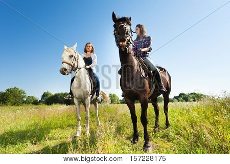 Outdoor portrait of two young beautiful women riding their purebred horses in a meadow