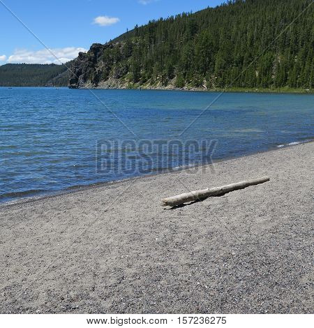 A lone log on the shores of East Lake in Oregon on a sunny summer afternoon.