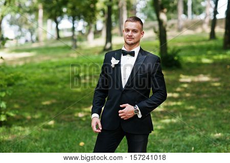 Trendy Beard Man Groom With Bow Tie Posed On Park.