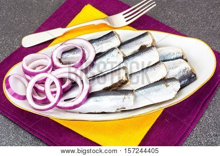 Salted Herring with Red Onion Studio Photo