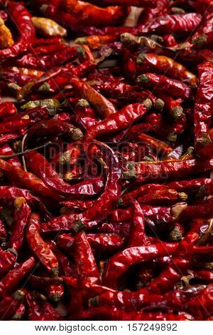 The red hot chili pepper spicy dried