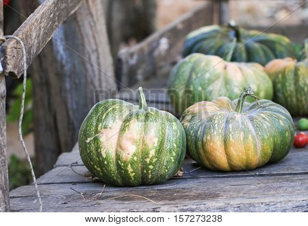 Diverse assortment of pumpkins on a wooden background. Autumn harvest.