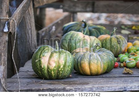 Diverse assortment of pumpkins on a wooden background. Autumn harvest.