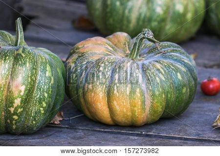 Diverse assortment of pumpkins on a wooden background. Autumn harvest.