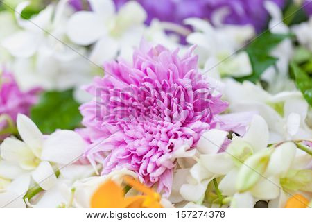 Bouquet Of Flowers Purple Chrysanthemums With Orchid