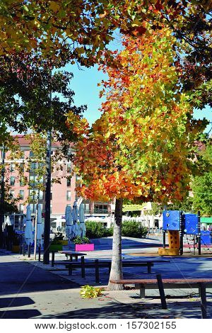 Autumn in the square.
The cycle of the seasons produces special colors.