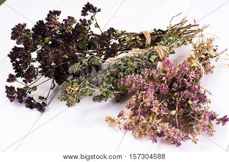 Dried Flowers and Stems of Thyme Studio Photo