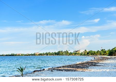 Caribbean beach in late afternoon light in Belize Central America