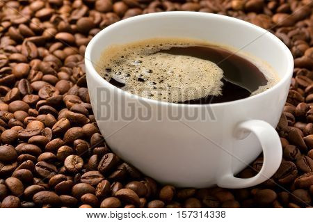 Coffee cup in heap of coffee beans studio shot
