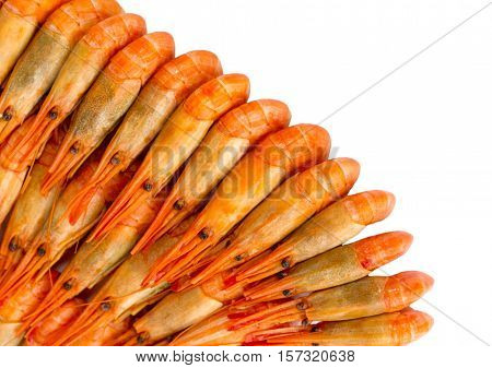 Cooked shrimps isolated on white background. Prawns. Seafood