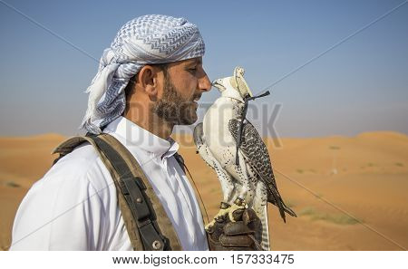 Dubai UAE November 19th 2016: A falconer training a Peregrine Falcon (Falco peregrinus) in a desert