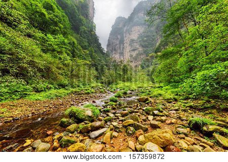 Amazing View Of Mountain River Among Woods And Steep Cliffs