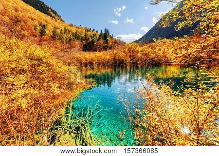 Autumn Forest Reflected In Scenic Pond With Azure Crystal Water