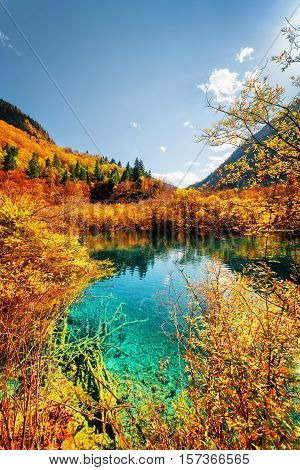 Autumn Forest Reflected In Amazing Pond With Azure Water