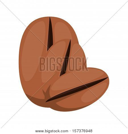coffee beans in different sizes vector illustration