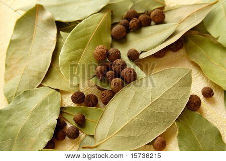 erbe di cottura. erbe fresche e deliziose. Baia di foglie, pepe nero e pimento
