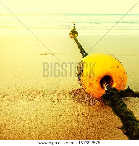 Seascape With Rope And Buoy In Seaweeds