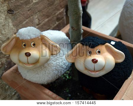 ovely mascots of sheep Pienza. Pienza is famous for its cheese
