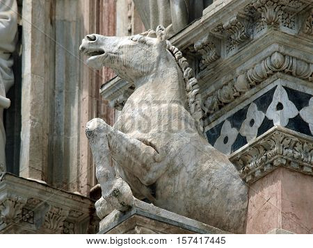 Architectural details of Duomo facade - SienaTuscanyItaly. The Duomo of Siena which was built in the 12th and 13th centuries is one of the prettiest churches in Gothic style in Italy