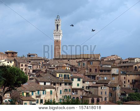 Siena - panorama of the old part of town with a slender tower Torre del Manga