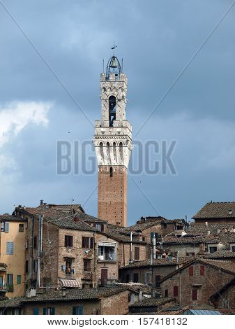 Siena - panorama of the old part of town with a slender tower Torre del Manga