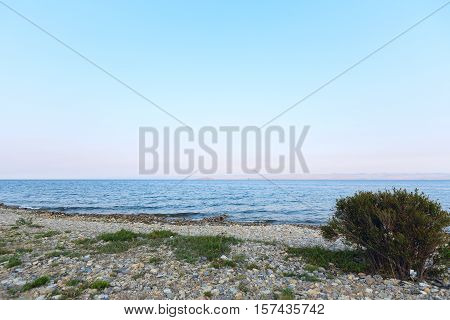 rocks and plants on the coast of Lake Baikal