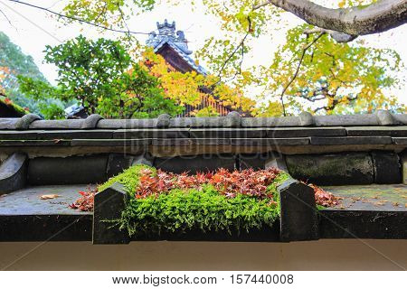 Kotoin Temple in autumn (Norther Kyoto, Japan)