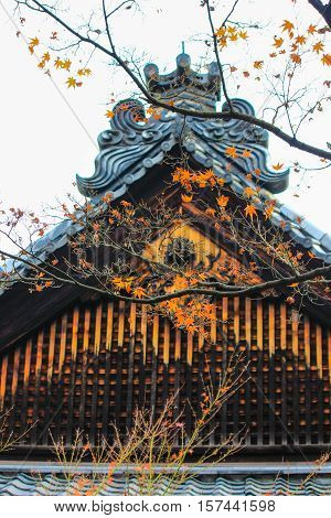 Kotoin Temple in autumn (Norther Kyoto, Japan)