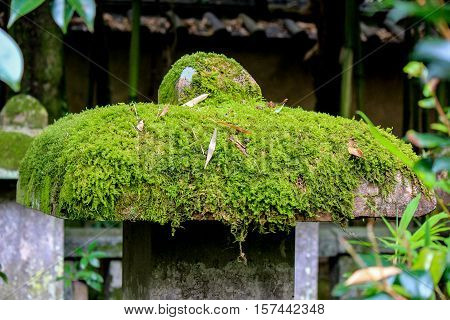Kotoin Temple in autumn (Norther Kyoto, Japan)