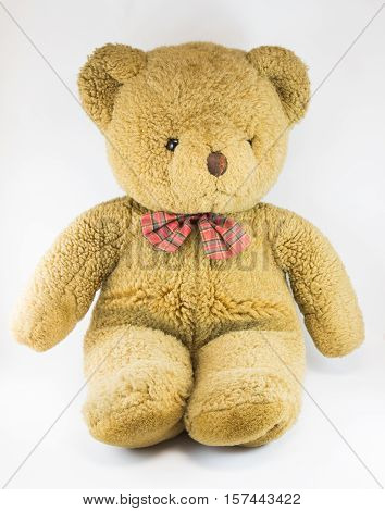 Isolated Cute Teddy Bear with white background