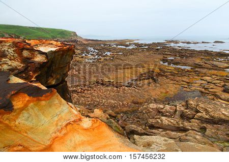 Stones on the ocean coast during an outflow. The stony coast an outflow has bared the stones covered with seaweed.