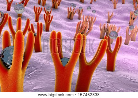 Membrane of cell surface with receptors and molecules coming to receptors, 3d illustration