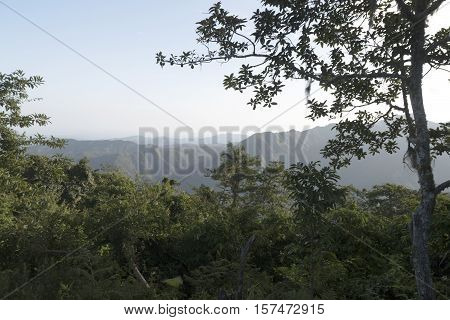 This photo is make in the Sierra Maestra in Cub.