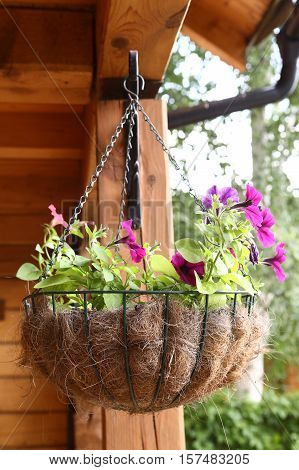 flower basket hang close up photo on the wooden cottage house background