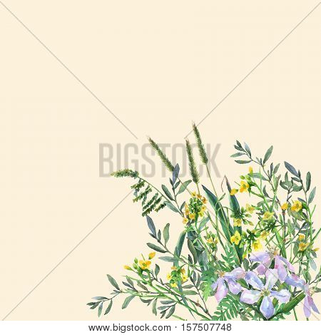 Colorful spring flowers and grass on a meadow. Watercolor hand painting illustration on isolate yellow background.