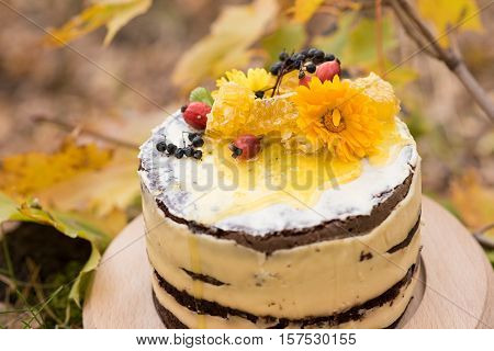 Beautiful cake with flowers, honey and berries outdoors