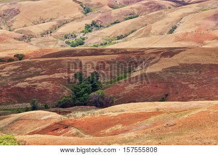 Traditional Madagascar Hill Landscape