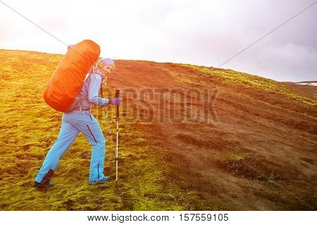 female hiker on the trail in the Islandic mountains. Trek in National Park Landmannalaugar, Iceland