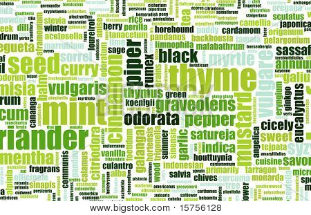 Herbs and Spices Cooking List Abstract Background