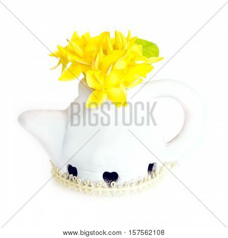 Ixora Flower In White Flower Pot Isolated On White Background