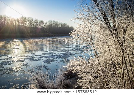 covered by rime plants on the banks of the freezing and foggy river