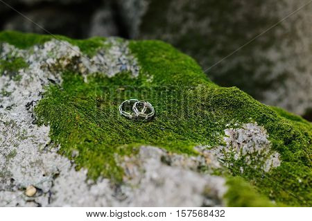 wedding rings of white gold on a stone on a background of green moss
