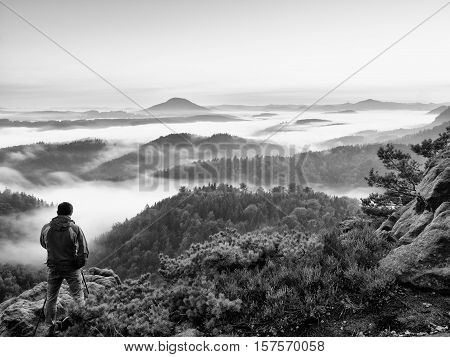 Tourist With Red Outdoor Windcheater In Dwarf Pines.  Autumn Hilly Landscape