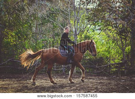 Young beautiful brunette girl rides a horse on a warm and sunny autumn day. Portrait of a pretty young woman on the horse, wearing tall boots and gloves.