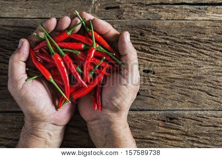 Overhead view of red hot chili pepper in hand of old man on rustic wood table