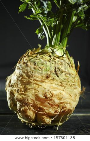 Celery root - celeriac fresh healthy vegetable with green shoots