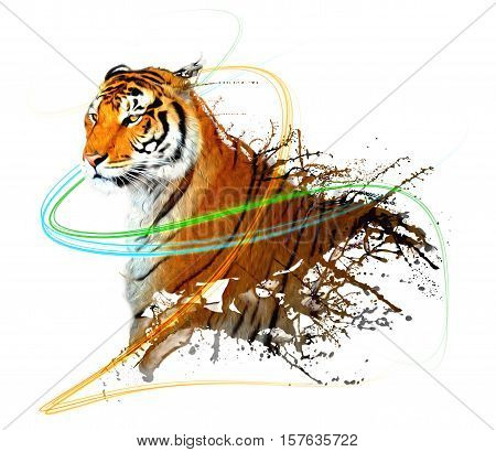 Colorfull and beautiful Tiger spray with light trails